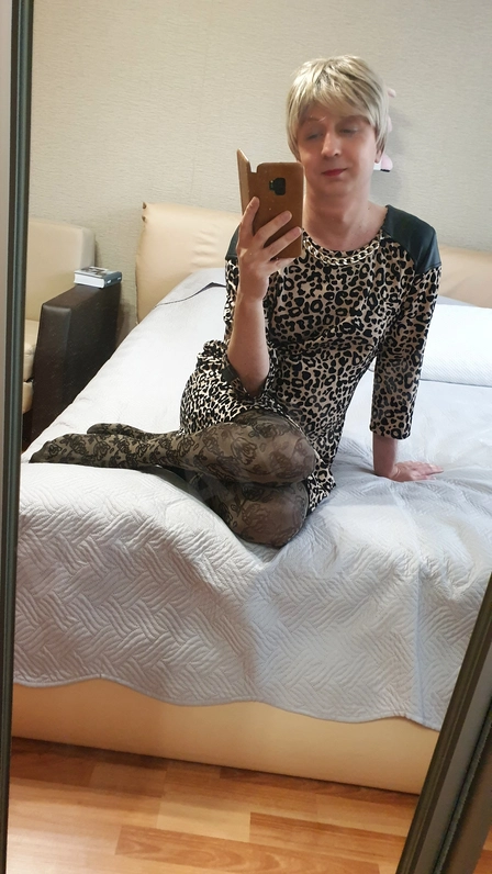 Honeykitty4582928