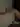 Sashaskandy1