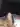 Aleks2104