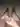 Rostick