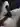 name44434