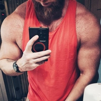 sportbear