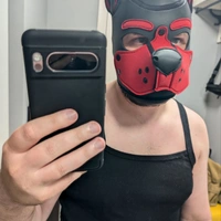 DrunkPuppy