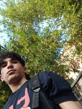 Amirkhan