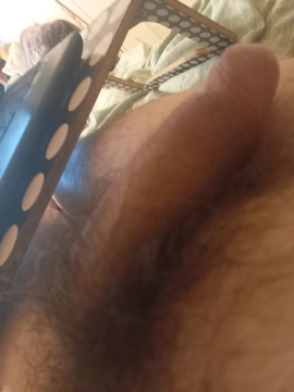 Pit04216619